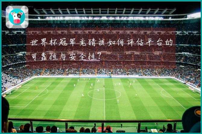 世界杯冠军竞猜该如何评估平台的可靠性与安全性？