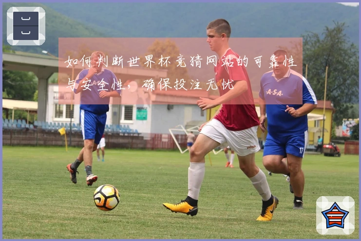 如何判断世界杯竞猜网站的可靠性与安全性，确保投注无忧