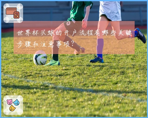 世界杯买球的开户流程有哪些关键步骤和注意事项？
