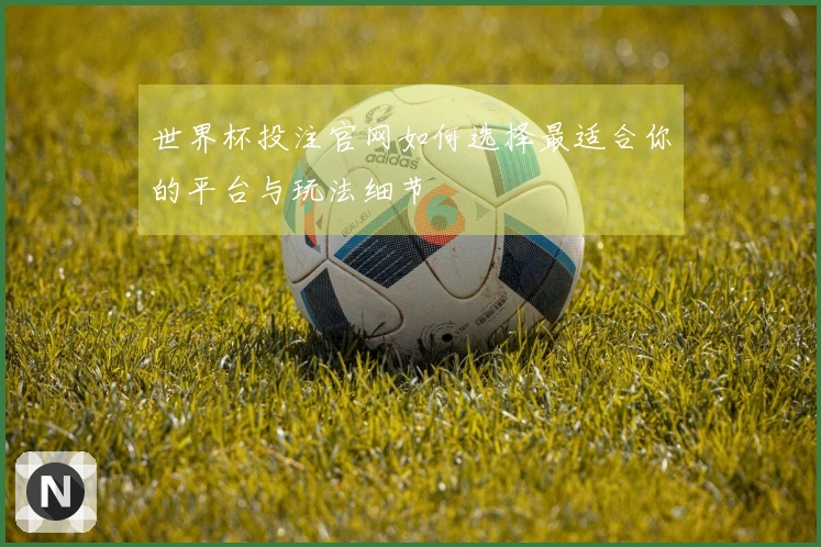 世界杯投注官网如何选择最适合你的平台与玩法细节