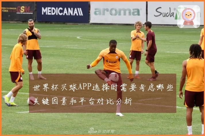 世界杯买球APP选择时需要考虑哪些关键因素和平台对比分析
