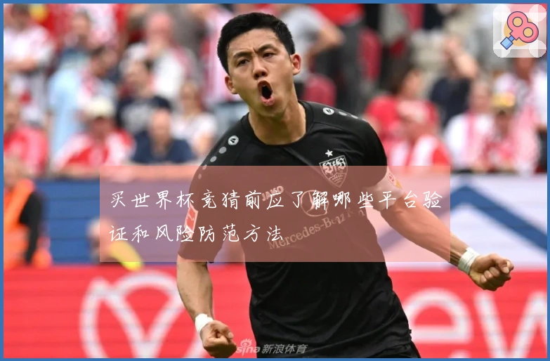 买世界杯竞猜前应了解哪些平台验证和风险防范方法