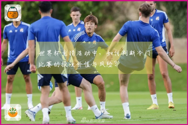 世界杯竞猜活动中，如何判断冷门比赛的投注价值与风险？