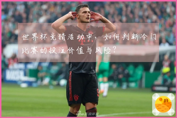 世界杯竞猜活动中，如何判断冷门比赛的投注价值与风险？