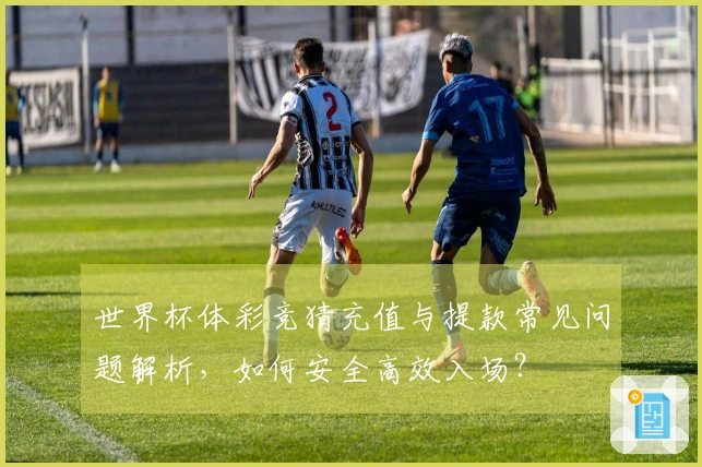 世界杯体彩竞猜充值与提款常见问题解析，如何安全高效入场？