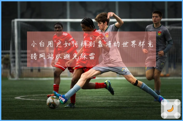 小白用户如何辨别靠谱的世界杯竞猜网站以避免踩雷