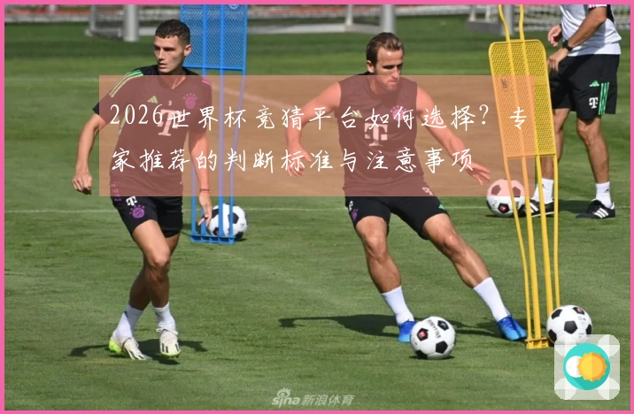 2026世界杯竞猜平台如何选择？专家推荐的判断标准与注意事项