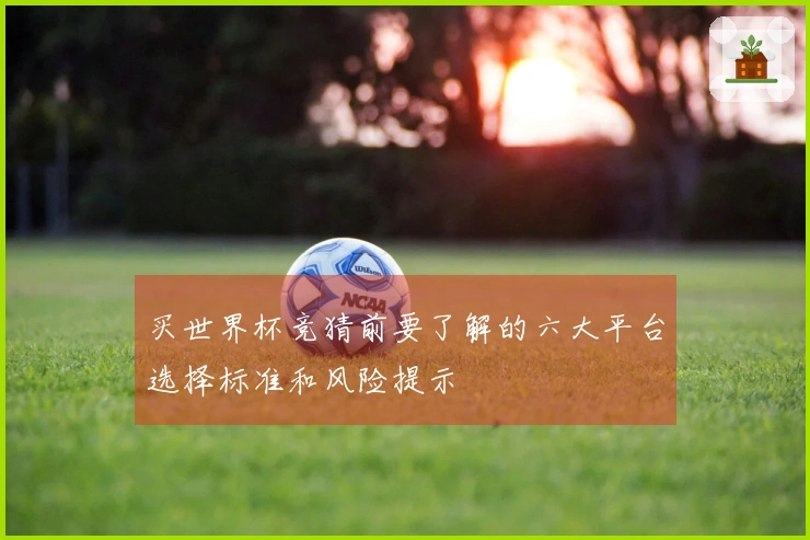 买世界杯竞猜前要了解的六大平台选择标准和风险提示
