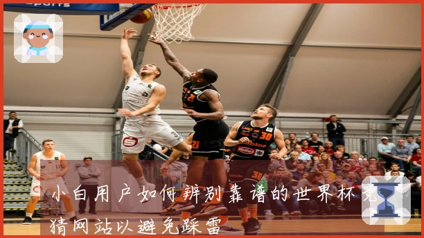 小白用户如何辨别靠谱的世界杯竞猜网站以避免踩雷