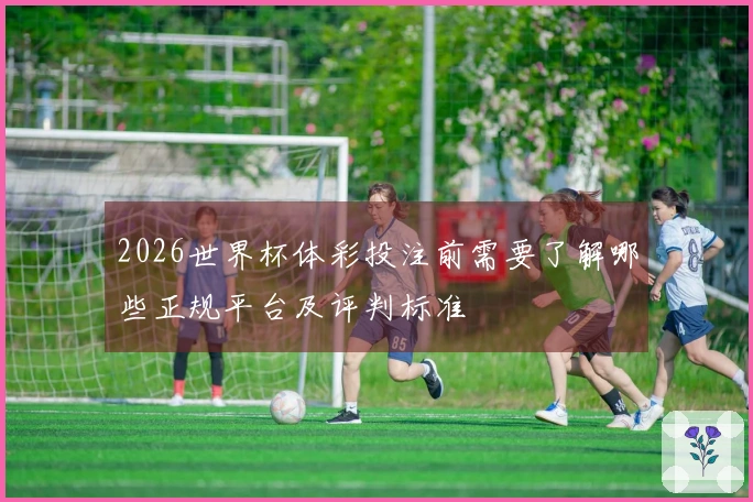 2026世界杯体彩投注前需要了解哪些正规平台及评判标准