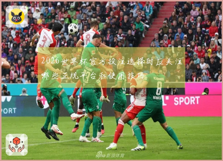 2026世界杯官方投注选择时应关注哪些正规平台和使用技巧