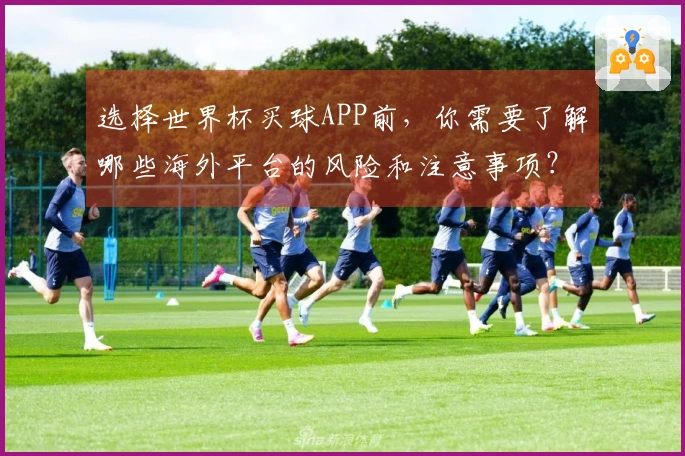 选择世界杯买球APP前，你需要了解哪些海外平台的风险和注意事项？