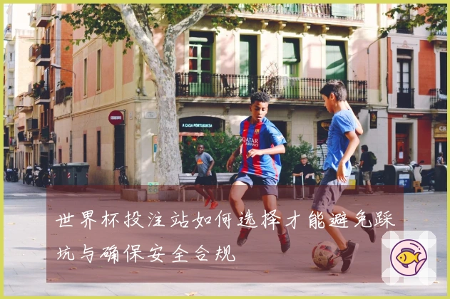 世界杯投注站如何选择才能避免踩坑与确保安全合规