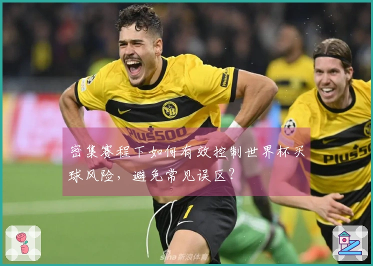 密集赛程下如何有效控制世界杯买球风险，避免常见误区？