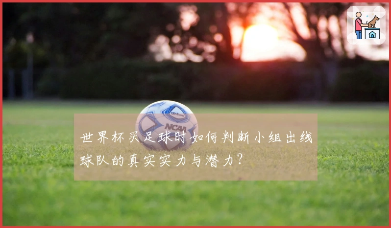世界杯买足球时如何判断小组出线球队的真实实力与潜力？