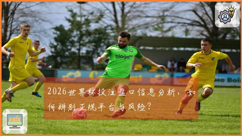 2026世界杯投注盘口信息分析，如何辨别正规平台与风险？
