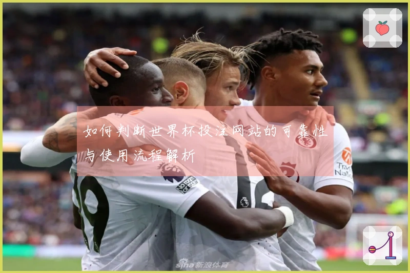 如何判断世界杯投注网站的可靠性与使用流程解析