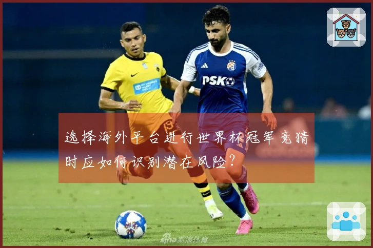 选择海外平台进行世界杯冠军竞猜时应如何识别潜在风险？