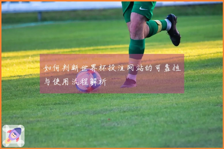 如何判断世界杯投注网站的可靠性与使用流程解析