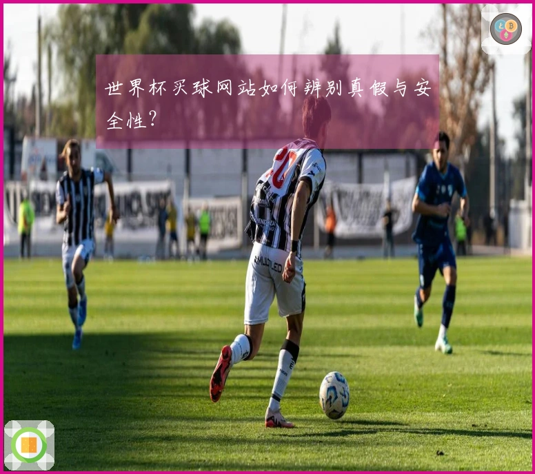 世界杯买球网站如何辨别真假与安全性？