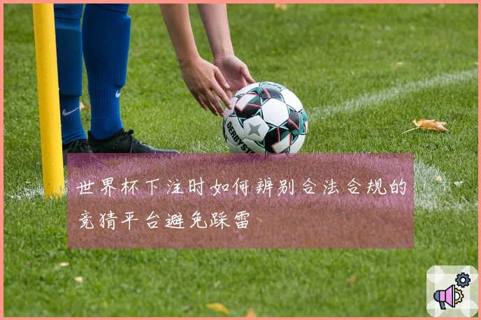 世界杯下注时如何辨别合法合规的竞猜平台避免踩雷