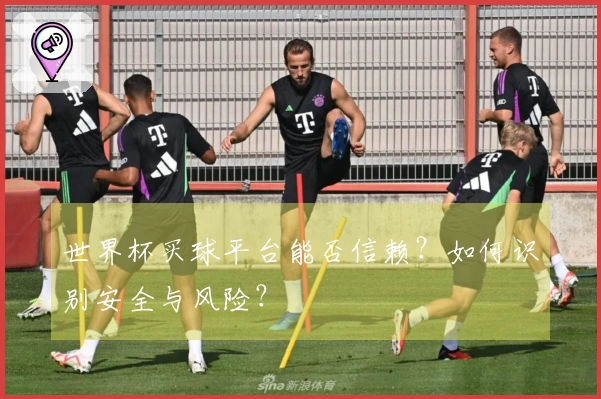 世界杯买球平台能否信赖？如何识别安全与风险？