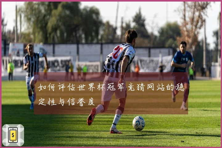 如何评估世界杯冠军竞猜网站的稳定性与信誉度