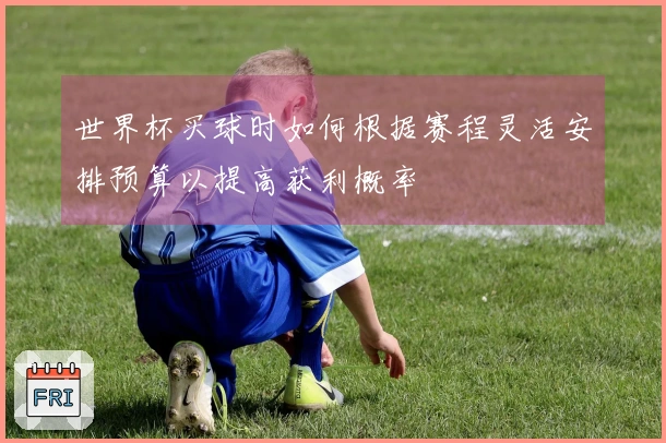 世界杯买球时如何根据赛程灵活安排预算以提高获利概率