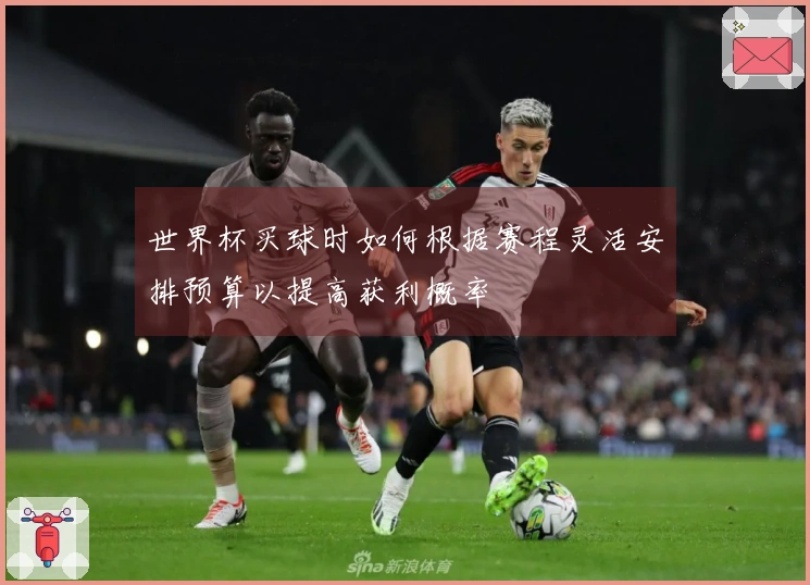 世界杯买球时如何根据赛程灵活安排预算以提高获利概率